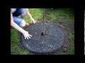 Planting a Cherry Tree!