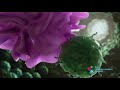 How COVID-19 mRNA Vaccines Work