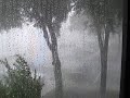 Intense Florida Rain Storm