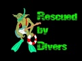 Rescued by Divers- Rescued by Divers