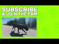 Cane Corso Off Leash Training Session - Come RIDE With Us