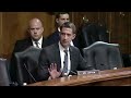 'Last Time You Flew, Did You Have To Show An ID?': Tom Cotton Grills Myrna Perez Over Voter ID Laws