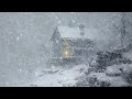 Intense Winter Storm at The Lonely Cabin | Snowstorm Sounds for Sleeping┇Howling Wind & Blowing Snow