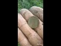 GOLD & SILVER COIN SPILL !!   Metal Detecting Pittsburgh .