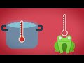 Will A Frog Really Stay In Boiling Water?