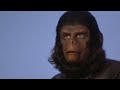 BATTLE FOR THE PLANET OF THE APES -  APE NATION Movie Review