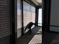 Interior Commercial Security Shutters