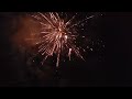 Virus Terminator 49 shots #firework