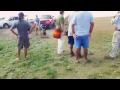 Trained attack dogs take on a crowd of peaceful water protectors!
