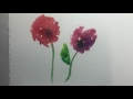 Water Colour Poppies