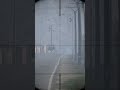 DayZ Driver sniped doing 100mph