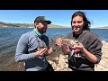 Floating underwater PowerBait! This 139 year old dam broke! Underwater Footage.