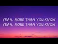 Axwell Λ Ingrosso - More Than You Know (Lyrics)