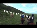 Riding the Wilds of Iceland: A Horseback Adventure !  🇮🇸  🐴 #iceland #horses