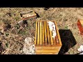 First Spring Beehive Inspection