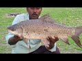 unique Fishing style 🐟🎣 Fisher Man Catching in BIG ROHU Fishes