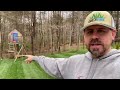 The Weed Killer I Use & Why! #diylawncare