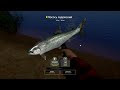 Russian Fishing 4 🐟 ПО РЕКЕ НА ЛОДКЕ #62 ● Уютный симулятор рыбалки