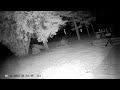 More crazy 'intelligent' lights recorded on my security camera