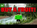 495 Blox Fruits Things You Didn't Know Existed