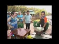 Kris TV: Kris learns to cook Bangus Sisig