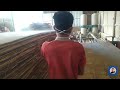 Proses pembuatan plywood lokal part 10 | Pemotongan empat sisi plywood di mesin sizer