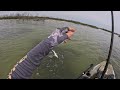 I Used These Lures to Catch Easy Limits (Ingleside, TX)