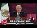 SI SI SI SI YA CÁLLATE MIJITA 👍🏼! AMLO dando cátedra de cómo burlar a chayotes