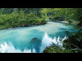 Nature Sounds Peaceful Forest River 7 Hours Long Relaxing Sounds Nature Video Calm Water Sound