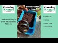 How To Plant Microgreens | KnowingNature Supplies For Home Growers