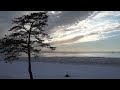 Путешествие в Сосновый Бор к Финскому заливу