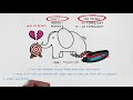 Thought experiment | Story of an Elephant