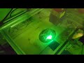 Random adventures in laser pyrography  (2 of 2)