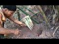 Create Awesome Bamboo Spear Trap to Catch the Bamboo Rat in the Hole Under the Ground