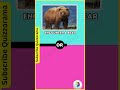 Would You Rather Animal Edition-2 #wouldyourather #pickonegame