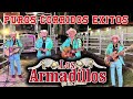 Los Armadillos De La Sierra Las Mejores Canciones __ Puros Corridos Exitos  __ Mix Para Pistear