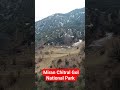 Miran Chitral Gol National Park! #travel #kalash #chitral #mountains #nomad #tourguidelife