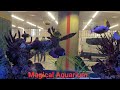 Magical Aquarium