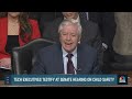Tech CEOs, leaders testify on child safety at Senate hearing