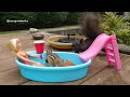 Chipmunk vs Squirrel at Barbie's pool!