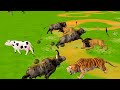 10 mammoth zombie tiger vs 10 giant lion fighting baby buffalo rescued by woolly mammoth
