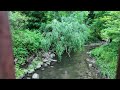 Toronto Nature Walk | Edwards Garden to Serena Gundy Park (June 2024)