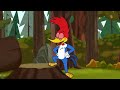 No Stealing Feathers! | Woody Woodpecker