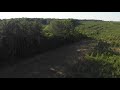 Tree Farm Drone Footage - Part 3