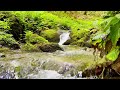 4K HDR Beautiful stream flowing in mountain forest.   The relaxing dound of mountain stream.