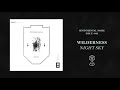 Wilderness - Night Sky (Official Audio)