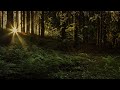 Sagen aus dem Schwarzwald: Folge 46 - Geister auf dem Kräheneck