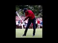 What Really Happens in the Swing - Tiger Woods!