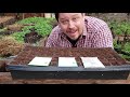 Seed Starting Basics - What You Need To Get Started