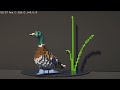 Minecraft Duck Timelapse || FIRST VIDEO!